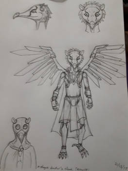 Concept art for Dragonhawk Aarakasha (1)