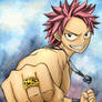 Natsu Dragonil