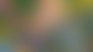 How the Light Gets In