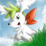 Shaymin Sky Forme