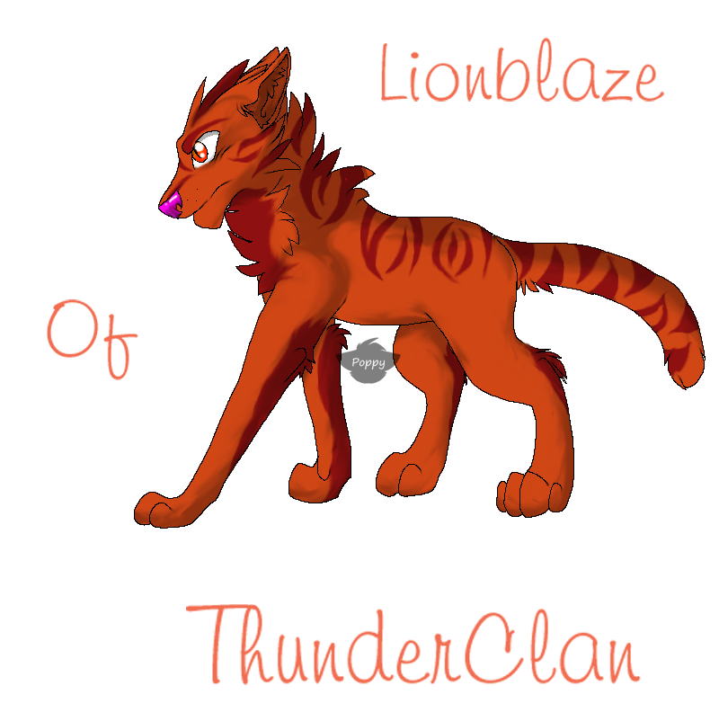 Lion's Blaze