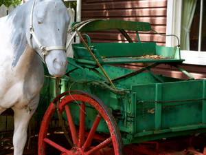 Horse and Buggy