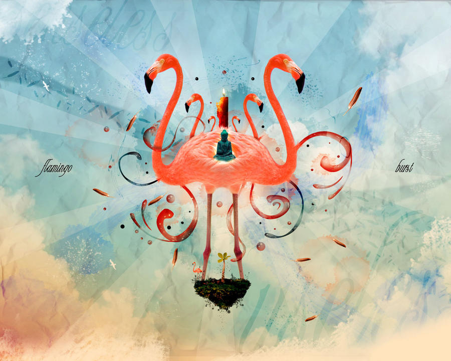Flamingo Burst by lebloe on DeviantArt