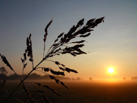 Texas September Morning prnt