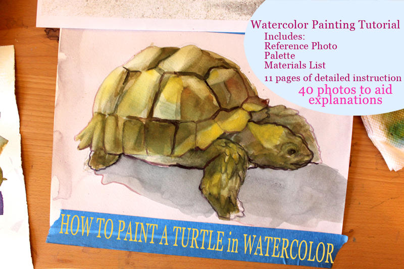 Turtle dA by TAHOpaints on DeviantArt