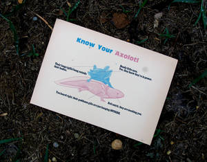 Know Your Axolotl