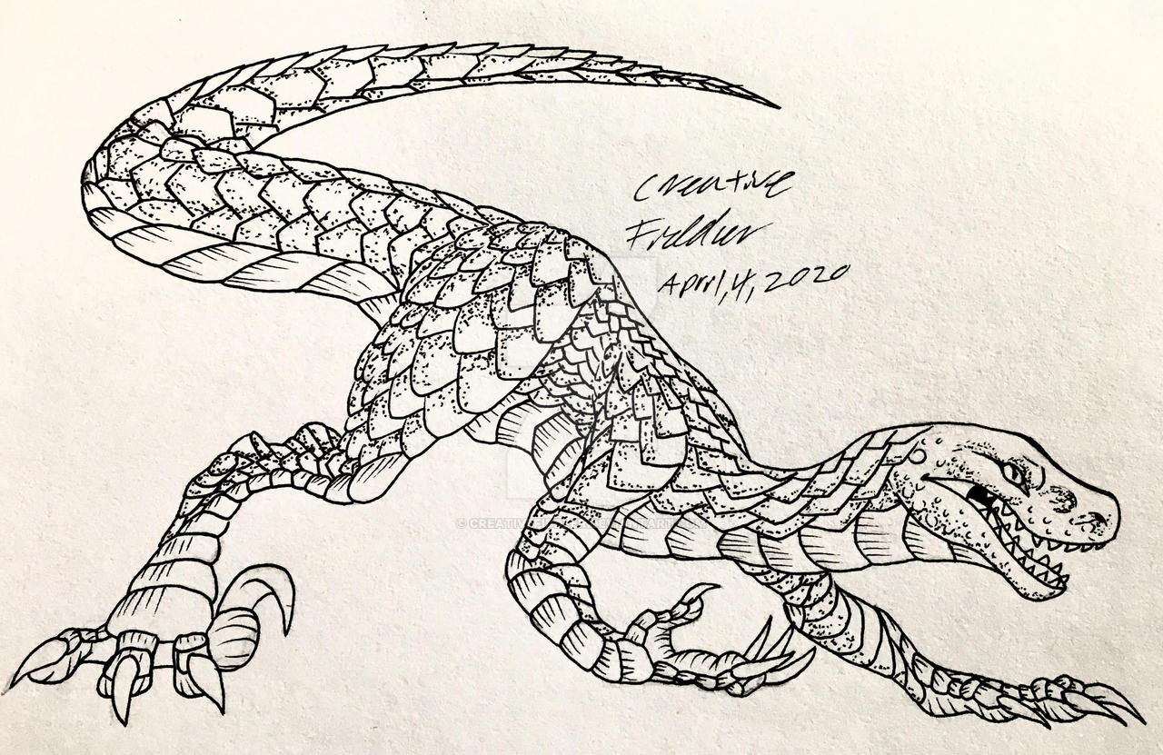 Raptor by CreativeFiddler on DeviantArt