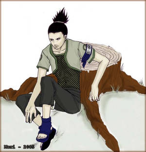 Shikamaru Love