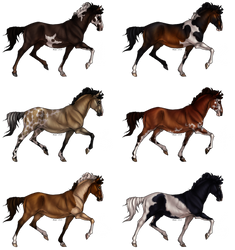 [PRICE DROP]Trotting Pony Adopts [2/6 OPEN]