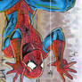 amazing spiderman sketchcard