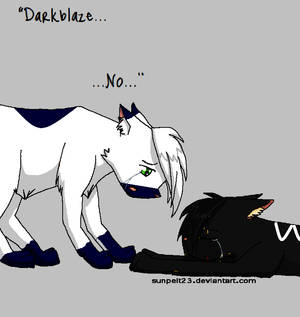 Darkblaze...No...