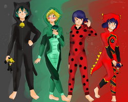 Miraculous Kigurumi Adrien, Luka , Kagami and Mari