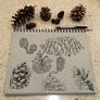 Pinecone Study