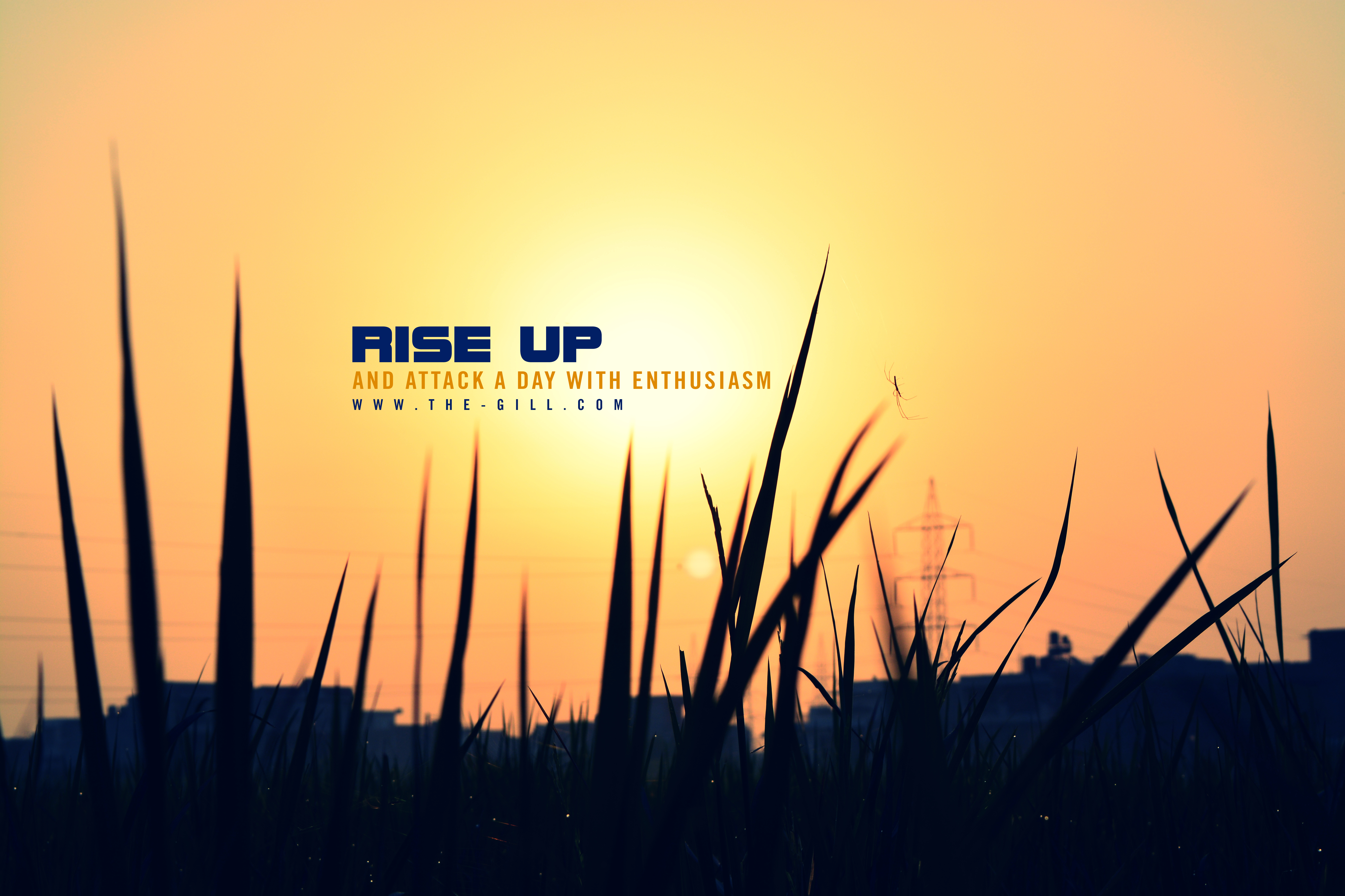 :: RISE UP ::