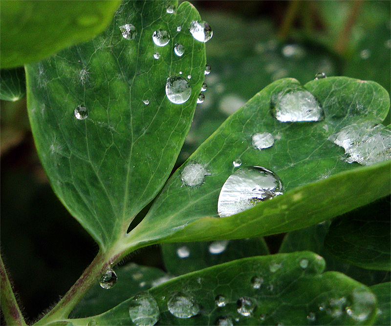 sky in a drop .