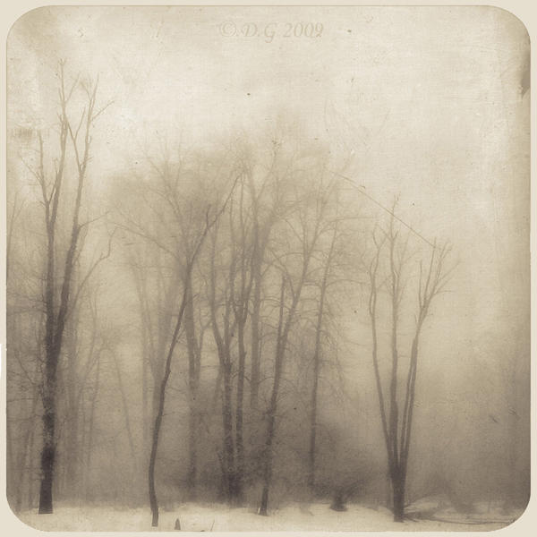 -MistY FoReST-