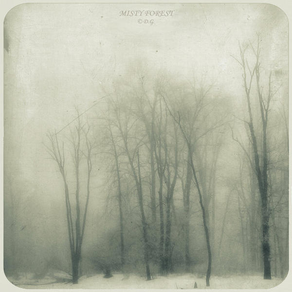 MistY Forest-