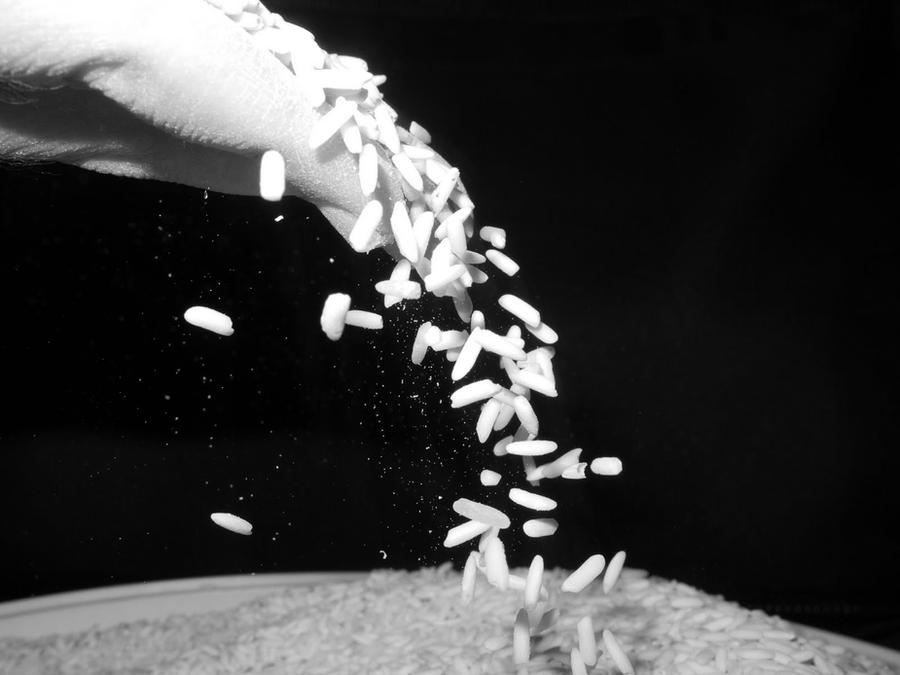 Dancing Rice Gif Dancing rice by esmah on DeviantArt