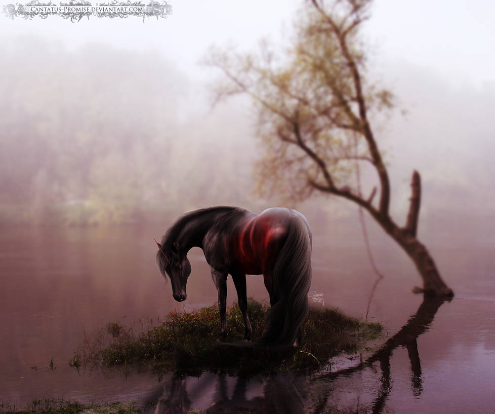 THE DAY WAS RED by Rhiaan