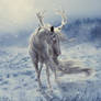 A WINTER'S DAY