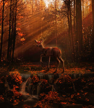 SOLACE TREE by Rhiaan SOLACE TREE by Rhiaan