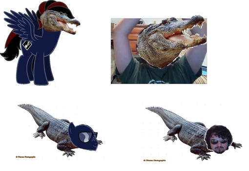 More Avigators