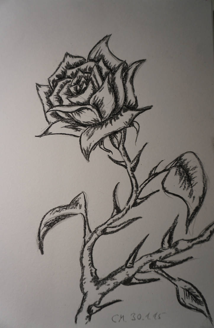 black rose by An4nke on DeviantArt