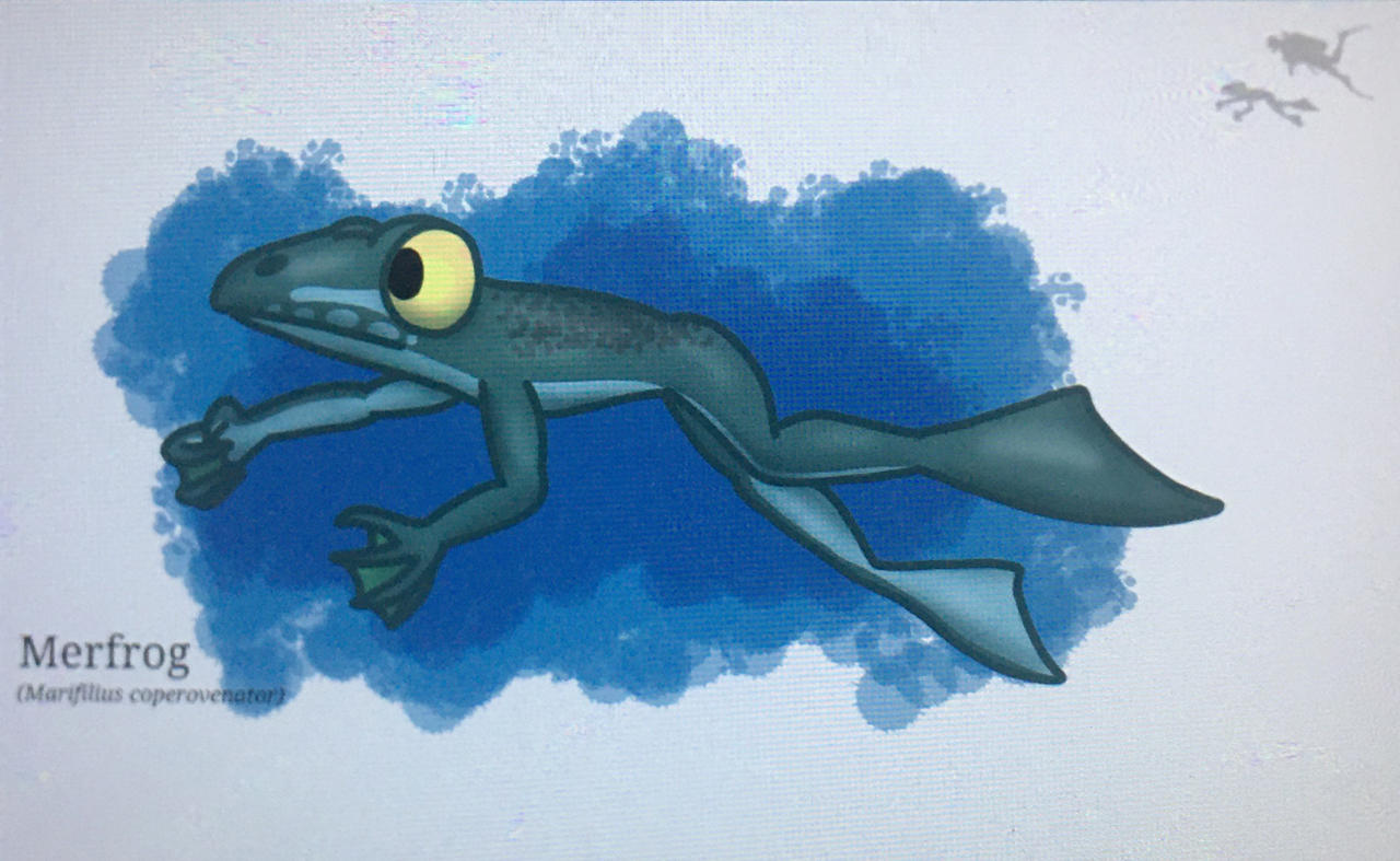 Merfrog The Merfrog by Jaime-Spec on DeviantArt