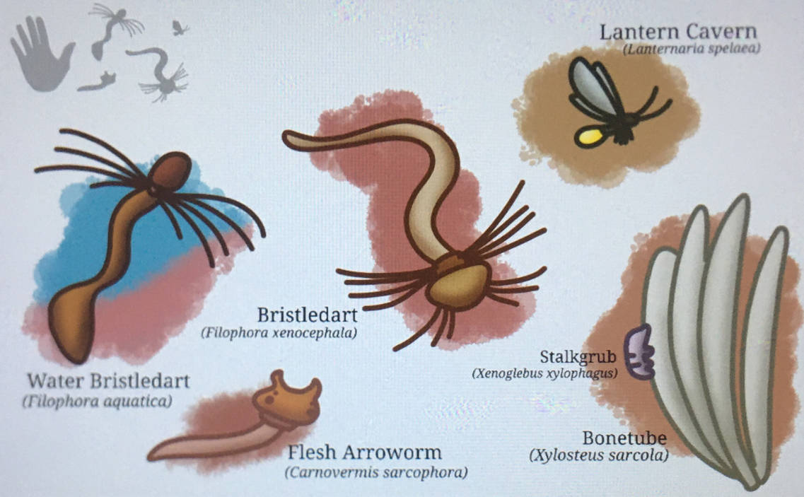 Alien Invertebrates Invertebrates of the alien flesh by Jaime-Spec on DeviantArt