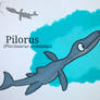 The Pilorus