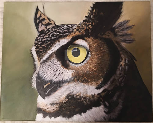 Owl