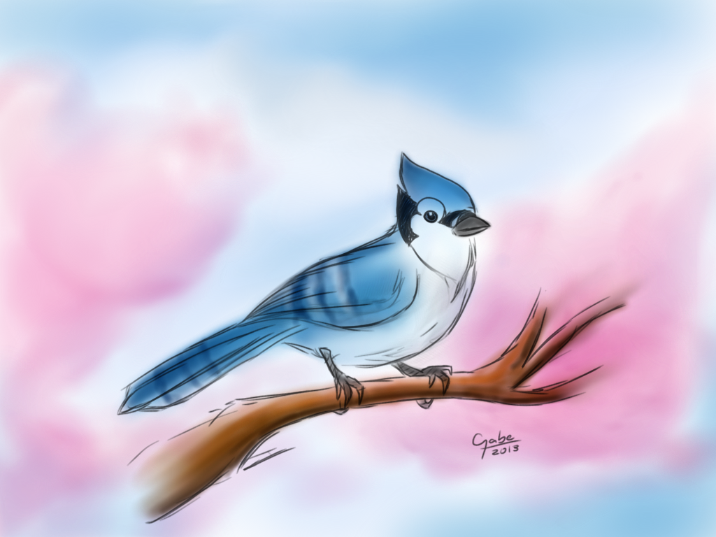 Bluejay