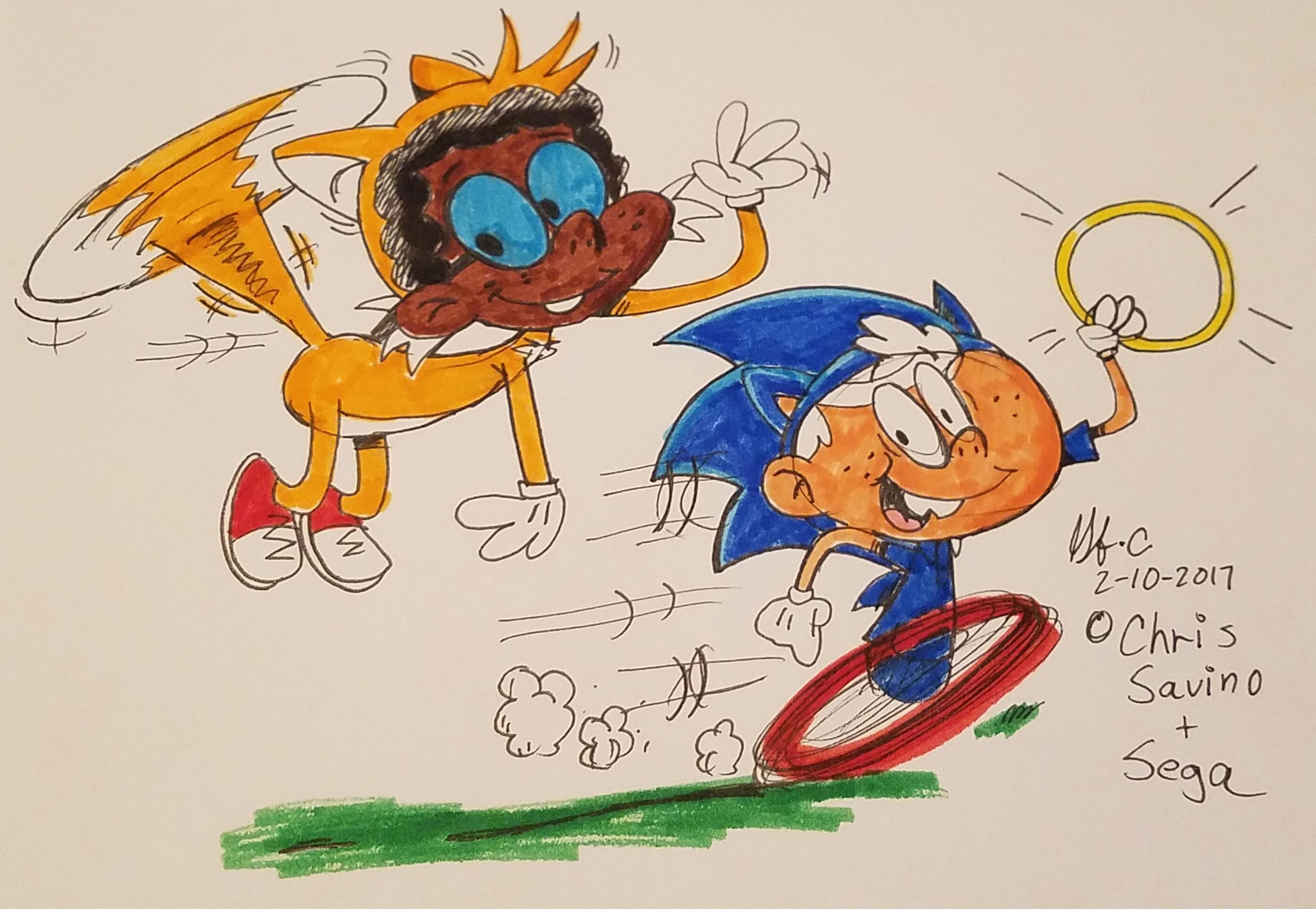 Bryson meets Sonic and Friends by spongefox on DeviantArt