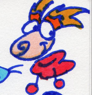 Polokurse Rayman in Markers