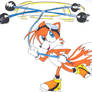 Sonic Riders' Tails:by SF