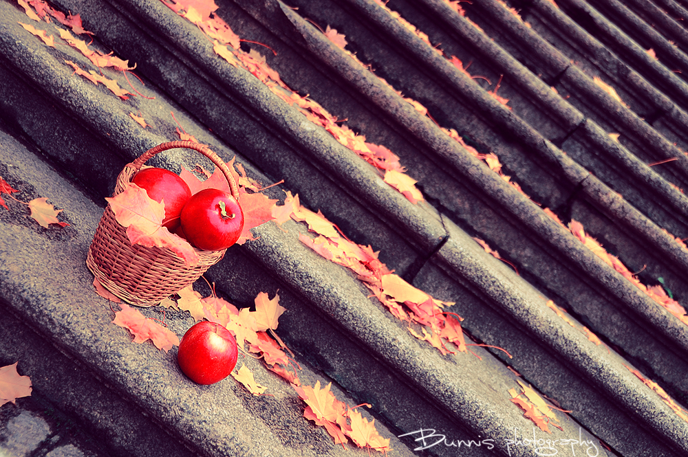 Tasty autumn made of apple.