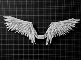 Paper wings