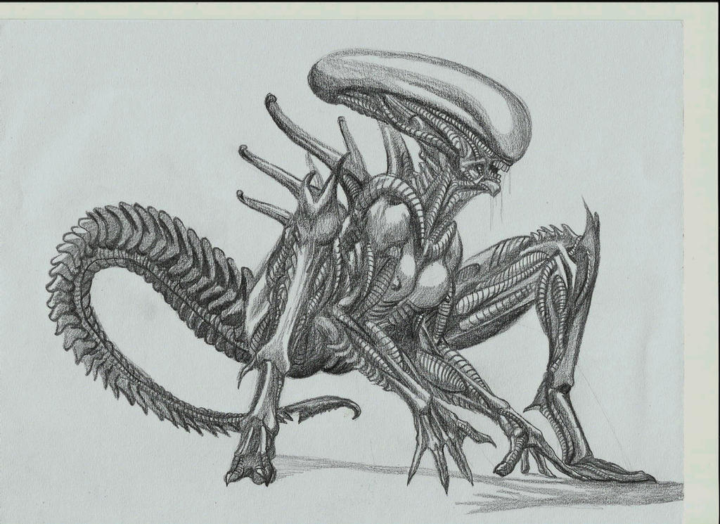 Alienoid Deviantart Alien by SabinicThigh on DeviantArt