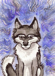 Foxwolf Feelin' Blue