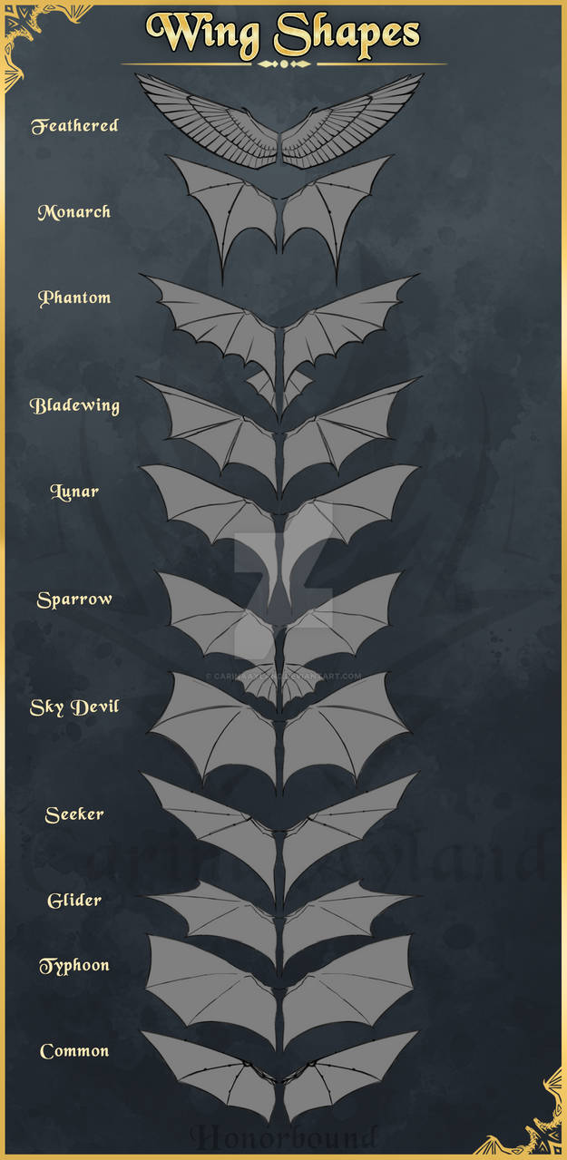 Wing Shapes - Lore (WIP) by CarinaAyland on DeviantArt