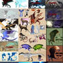 Adopt Collection (OPEN)