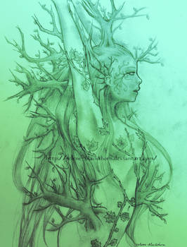 Forest Goddess WIP