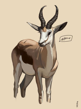 Funcy Springbok Explore the Best Springbok Art | DeviantArt