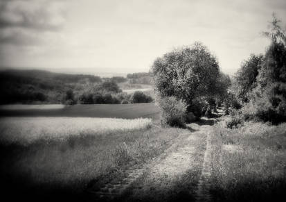 A Peaceful Border, Now - 09