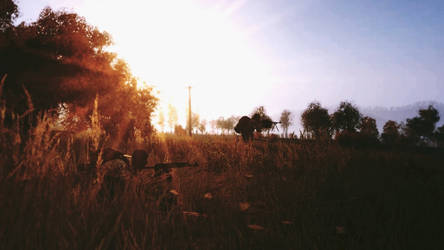 Arma 3 Chernarus Sunset