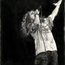 Eddie Vedder 2