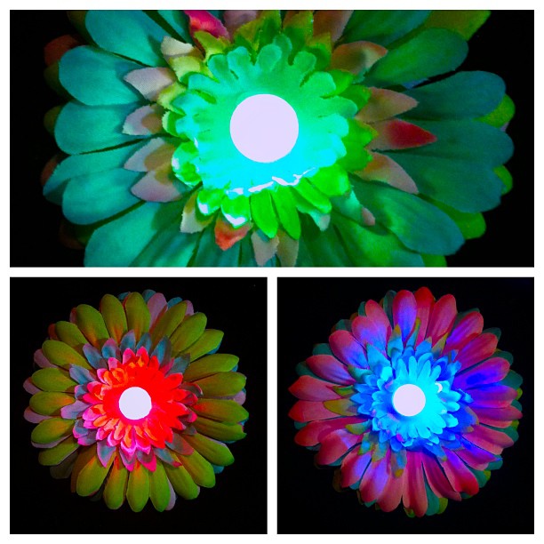 Electric Daisy LED Rainbow Hair Flower Clip