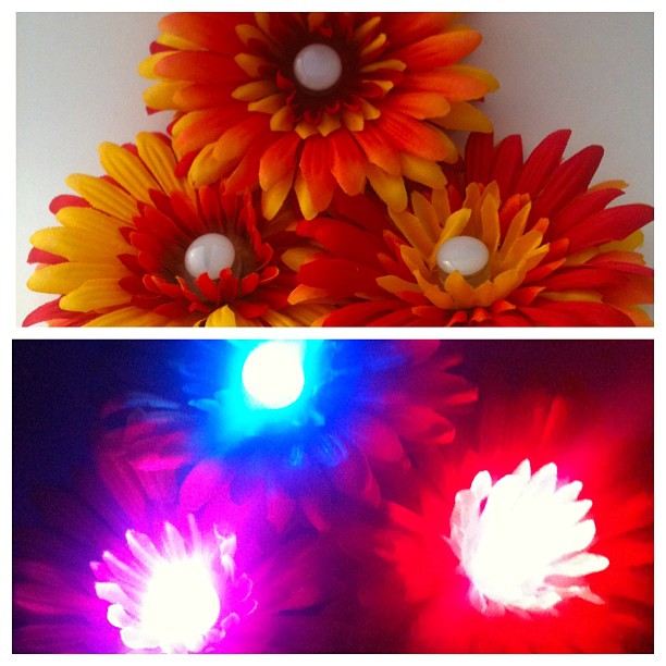 Fire Flower Rainbow LED Hair Clip Rave Accessory