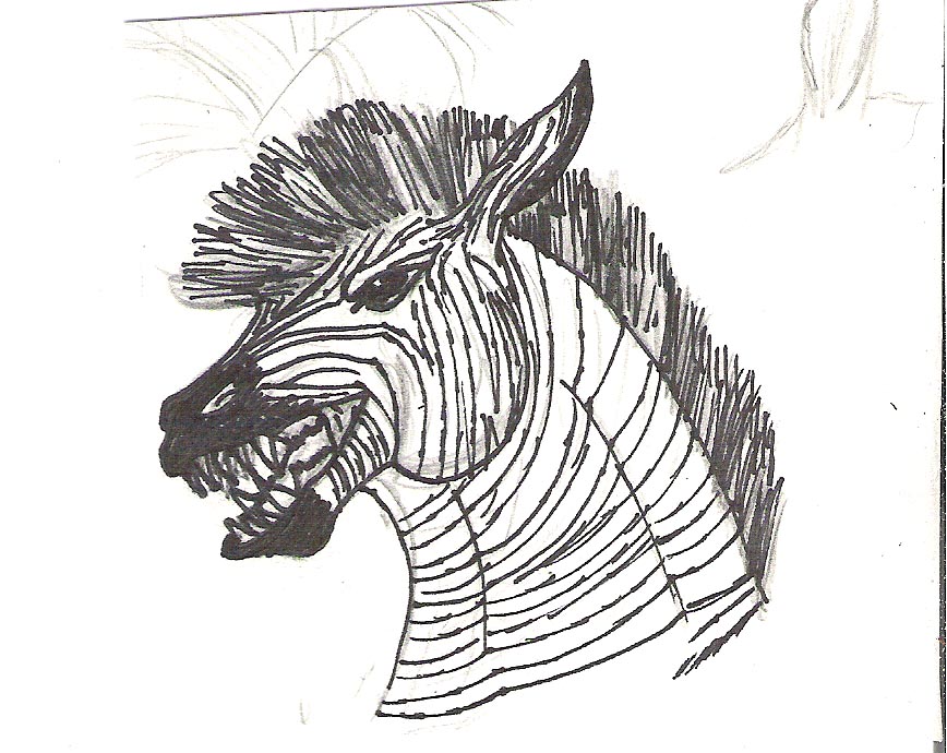 Zebra Kelpie Sketch