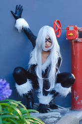 Black Cat- Spiderman Marvel comics